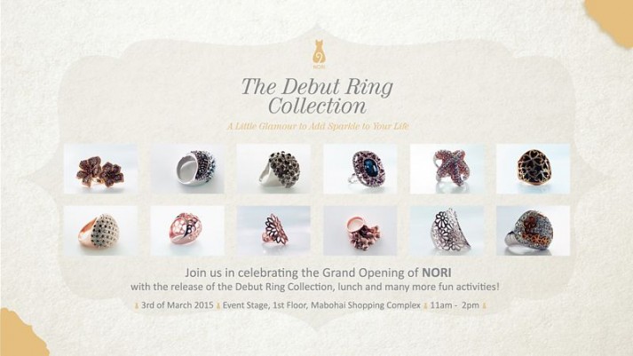 Nori Grand Opening web